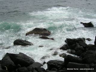 Acque_Grandi - 21-09-2014 17-53-14.jpg